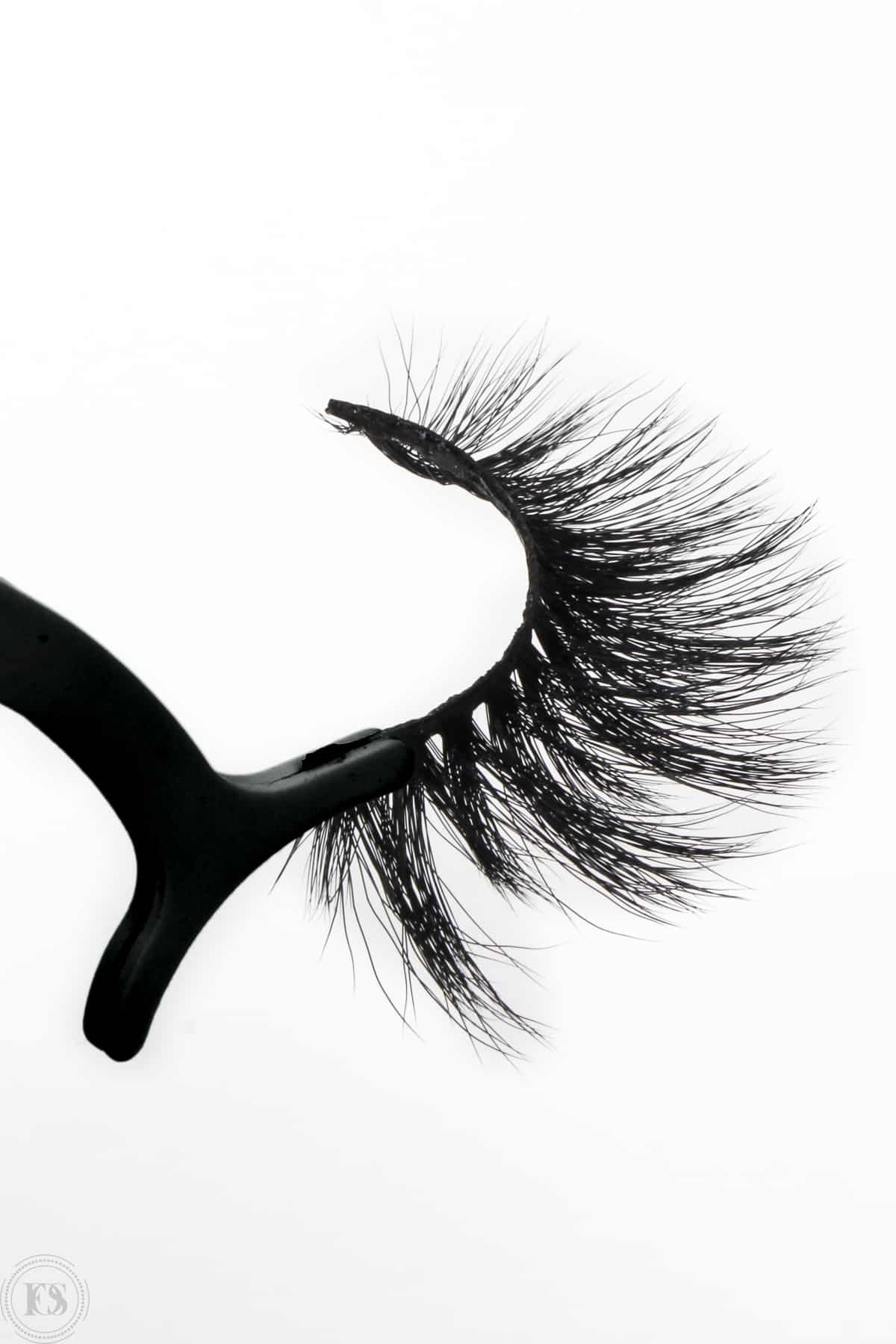 S2L02-2black