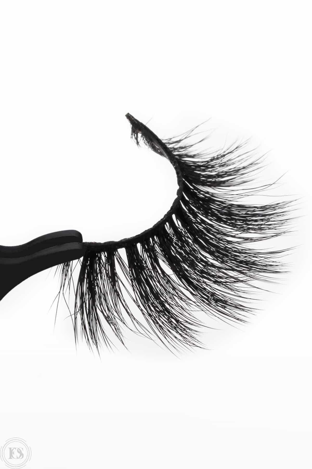 S2L05-2black