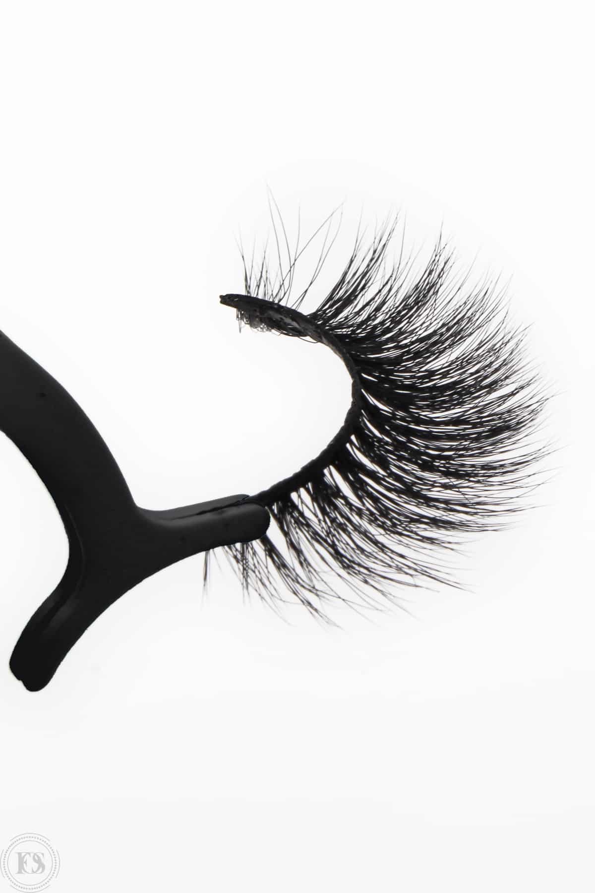 S2L07-2black